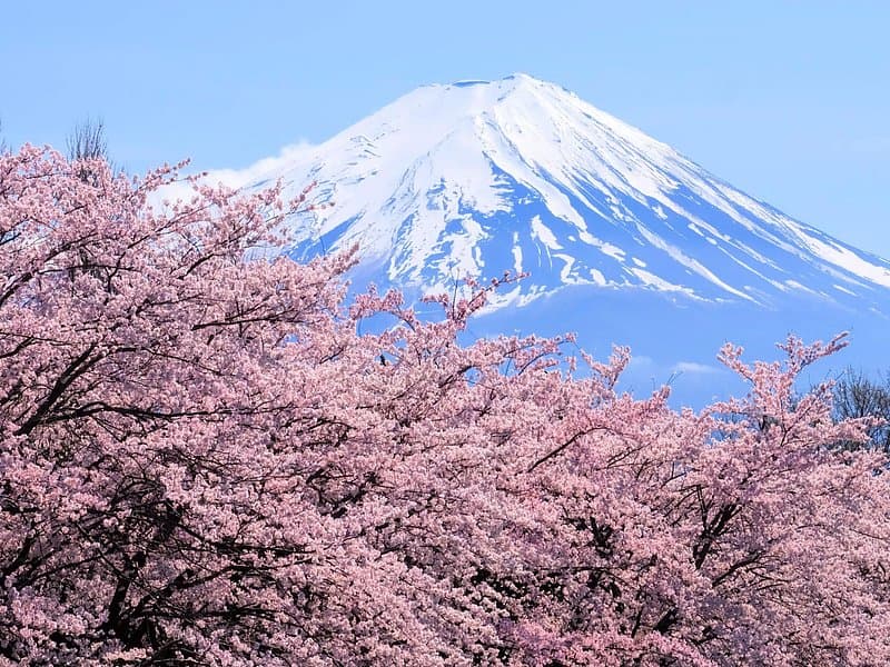 Hakone & Mt Fuji Day Trip from Tokyo