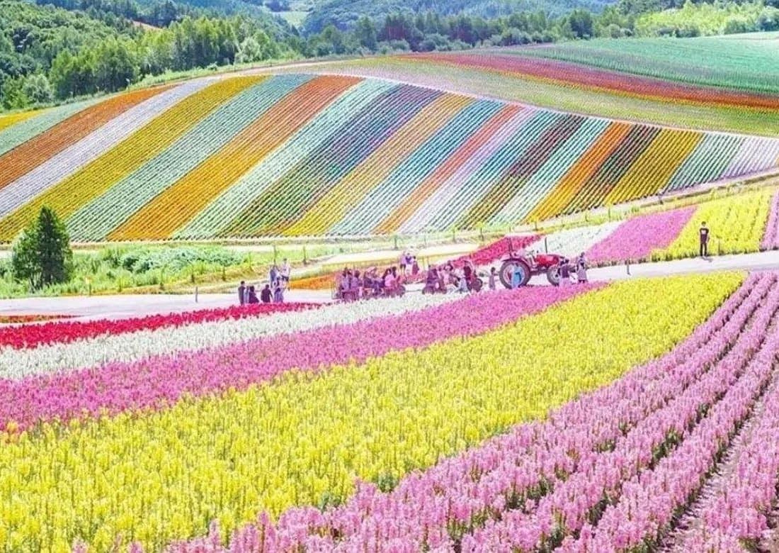 Sapporo Local Food & Culture Tour