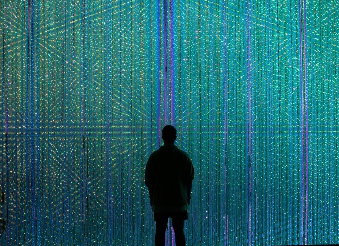 teamLab Borderless Digital Art Museum