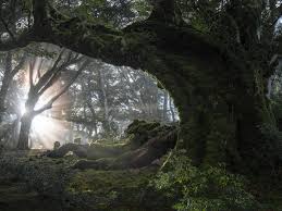 Sho Hoshino Photography Exhibition: Rhythm