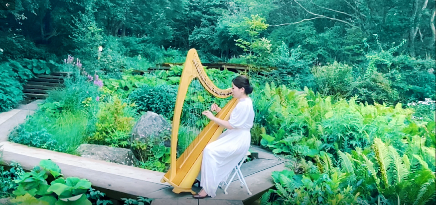 SIKI Garden Concert 2026 | Outdoor Music in Kobe 2026