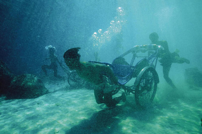 Collection Exhibition: Walking, Staying